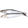Big Country Raw - Sardines 1lb - Kornapet.com