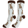 E&S - Weimaraner - Kornapet.com
