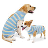 Love 4 Pets - Dog Coat After Surgery S - Kornapet.com
