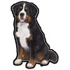 E&S - Bernese Mountain Dog - Vinyl - Kornapet.com