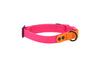 RC Pets - WProof Collar Aza/Or S - Kornapet.com
