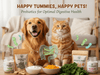 💩 Are You Looking at Your Dog’s Poop? - Kornapet.com