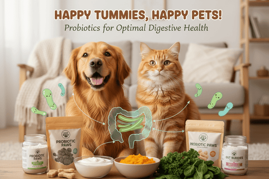 💩 Are You Looking at Your Dog’s Poop? - Kornapet.com