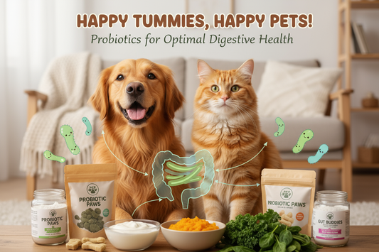 💩 Are You Looking at Your Dog’s Poop?