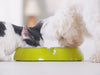 The Benefits of Gently Cooked Pet Food - Kornapet.com