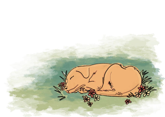 When Love Hurts: Introducing Pet Loss Grief Support - Kornapet.com