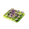 Tall Tails - Succulent Foraging Mat - Kornapet.com