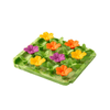 Tall Tails - Wild Flowers Foraging Mat 8