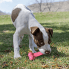 Kong-Goodie Bone Puppy - Kornapet.com