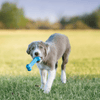 Kong-Goodie Bone Puppy - Kornapet.com