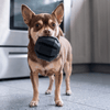 Kong-Extreme Stuff-A-Ball S - Kornapet.com