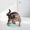 Kong - Infused Catnip Egg 2pk - Kornapet.com