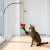 Holiday Teaser Mistletoe