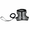 Coastal - Harness with Lead 11 - 16