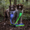 Nite Ize-Rechargeable LED Leash - Lime - Kornapet.com