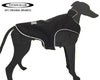 Teckelklub - Trench - Coal Black - Kornapet.com