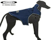 Teckelklub - Trench - Royal Blue - Kornapet.com