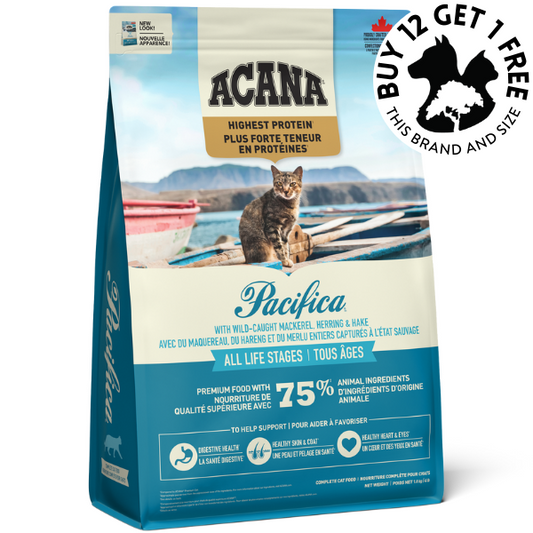 Cat Pacifica