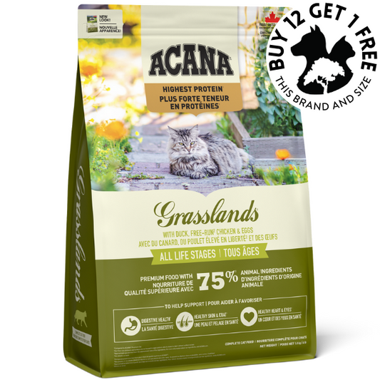 Cat Grasslands