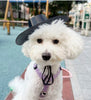Love 4 Pets - L4P K - De - Hun Got Hat - Kornapet.com