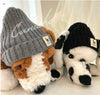 Caniche - Caniche Touque for Dog and Hum - Kornapet.com