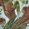 Bouquet Festive Fir 200mL