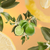 Maison Berger-Lemon Flower 500mL - Kornapet.com
