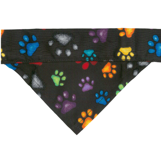 Black Paws