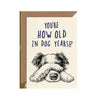 Bewilder beest - You're How Old in Dog Years? C - Kornapet.com