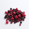 PI Pet Foods-Daily Mixed Berries 57g - Kornapet.com