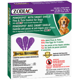 Flea & Tick