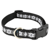 Silverfoot - Butterfly Grey - Kornapet.com