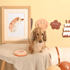 Hugsmart - Birthday Donut - Kornapet.com