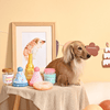 Hugsmart - Birthday Donut - Kornapet.com