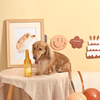 Hugsmart - Birthday Wine - Kornapet.com