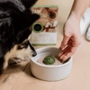 Faim Museau - Green Smoothie - Kornapet.com