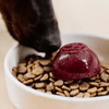 Faim Museau - Berry Delight - Kornapet.com