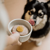 Faim Museau - Cozy Bone Broth - Kornapet.com