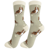 E&S - Basset Hound - Kornapet.com