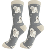 E&S - Bichon Frise - Kornapet.com