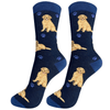 E&S - Golden Retriever - Kornapet.com