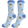 E&S - Jack Russel - Kornapet.com