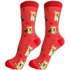 E&S - Yorkie - Kornapet.com