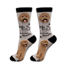 E&S - Goldendoodle, Red One Size - Kornapet.com