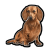 E&S - Dachshund Red - Vinyl Sticke - Kornapet.com