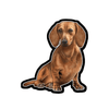 E&S-Dachshund Sticker - Kornapet.com