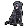 E&S - Black Lab - Vinyl Sticker - Kornapet.com