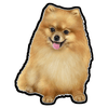 E&S - Pomeranian - Vinyl Sticker - Kornapet.com