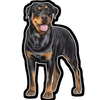 E&S - Rottweiler - Vinyl Sticker - Kornapet.com