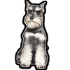 E&S - Schnauzer Cropped - Vinyl St - Kornapet.com